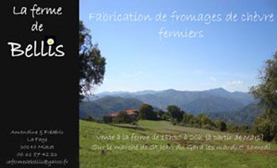 Carte ferme de Bellis